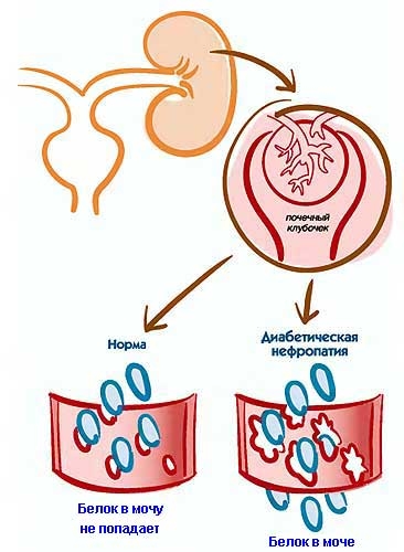 Иллюстрация 6