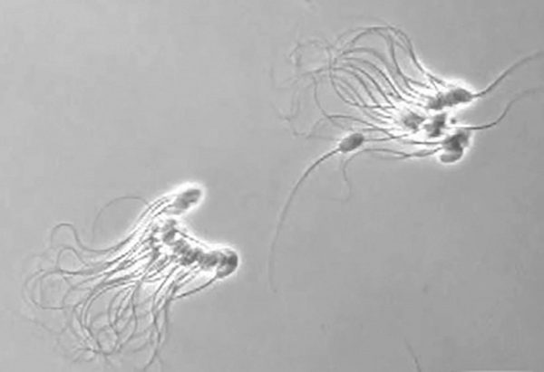 Картинка 2 Картинка 2