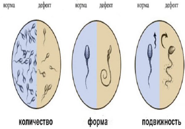Картинка 3 Картинка 3