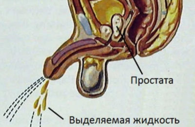Изображение 1 Изображение 1