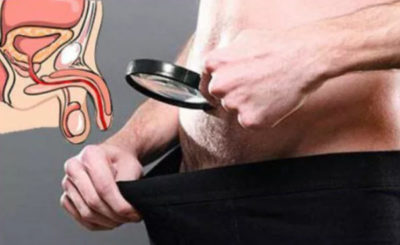 Картинка 3 Картинка 3