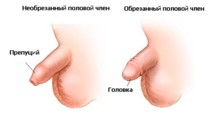 Картинка 4 Картинка 4