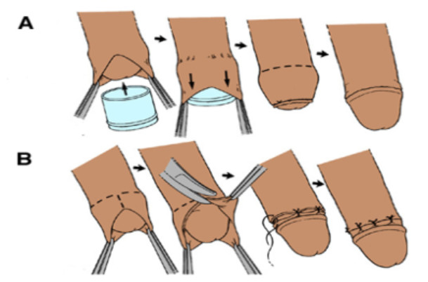 Изображение 3 Изображение 3