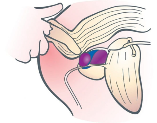 Изображение 3 Изображение 3