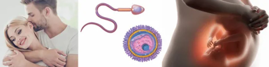 Изображение 1 Изображение 1