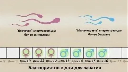 Изображение 2 Изображение 2