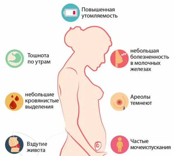 Иллюстрация 3 Иллюстрация 3