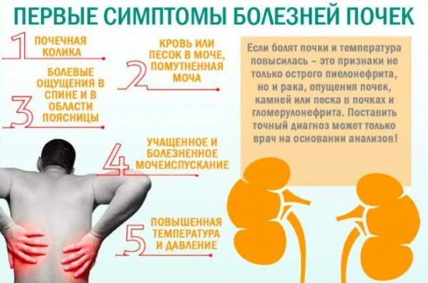 первые симптомы болезней почек