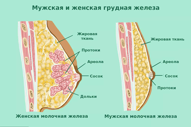 Боль в сосках у мужчин